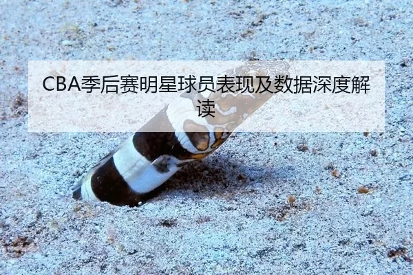 CBA季后赛明星球员表现及数据深度解读
